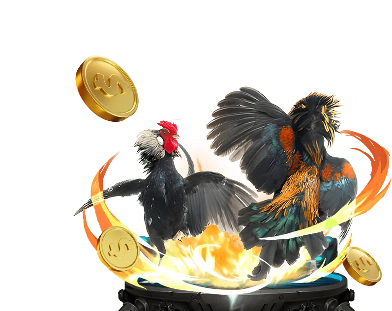 Câu hỏi thường gặp về khuyến mãi Đá Gà 68