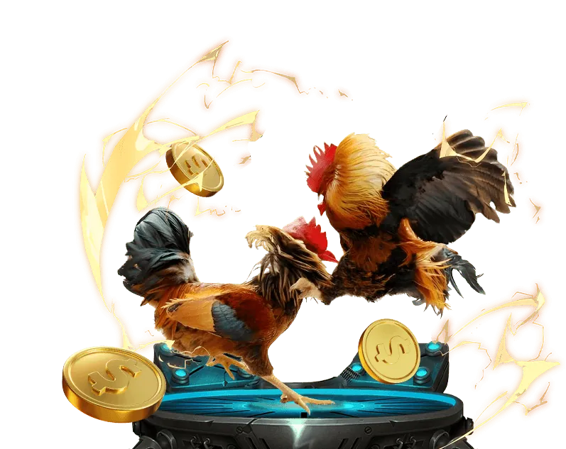 Văn hóa đá gà truyền thống Việt Nam